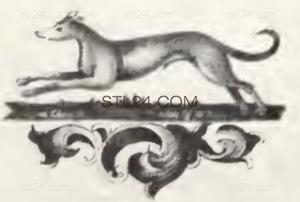 ANIMAL_0170